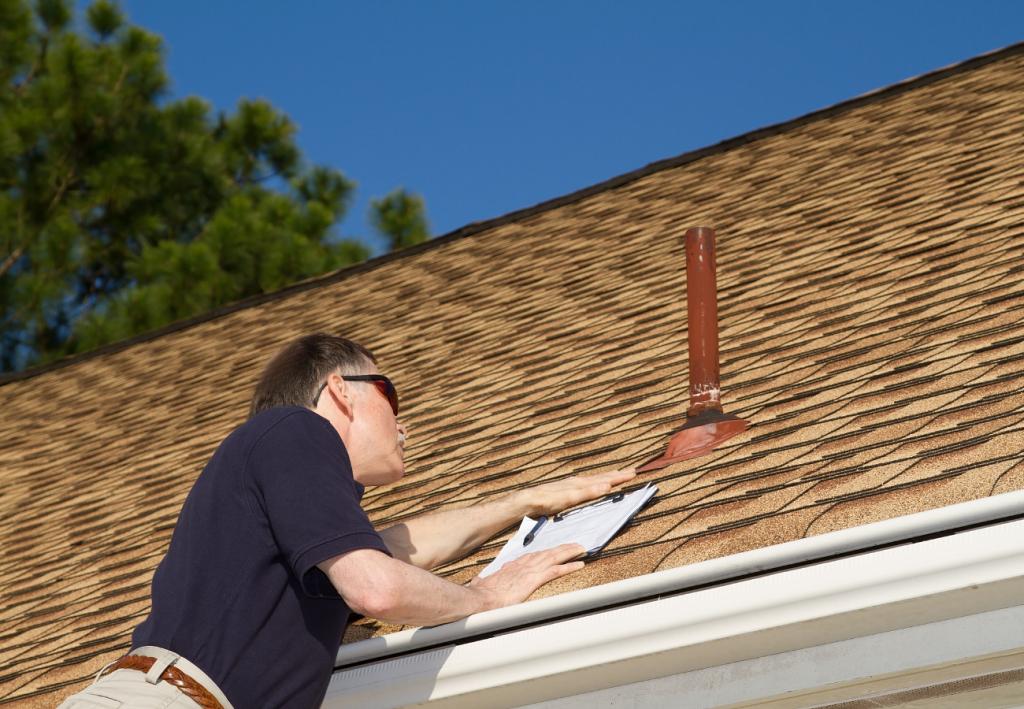 Professional Building Inspection