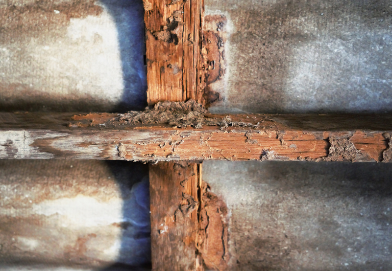 Creaky Floor or Creepy Crawlers Signs Your House Might Be Infested
